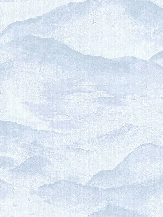 AM1 006