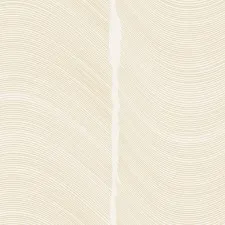 Br4 001