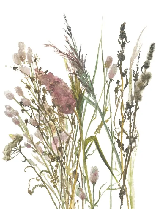 35798