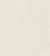 Обои Rasch Concrete 520231