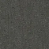 Z21711