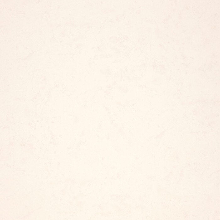 R11581
